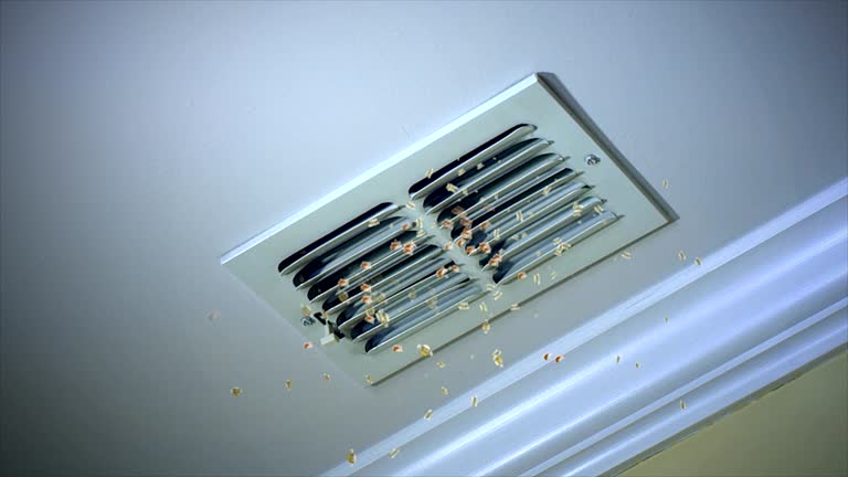 Best Air Duct Cleaning Company Near Me  in Morgantown, MS