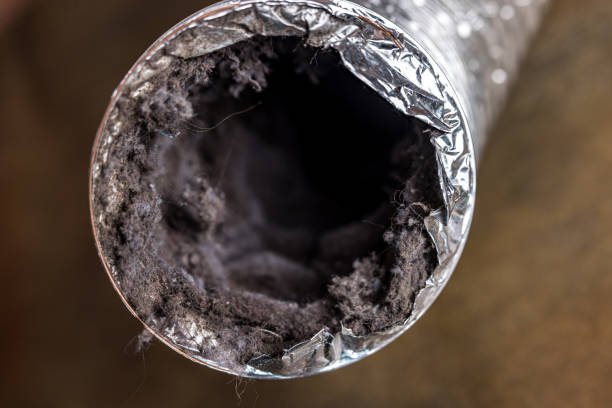 Best Affordable Duct Cleaning Services  in Morgantown, MS
